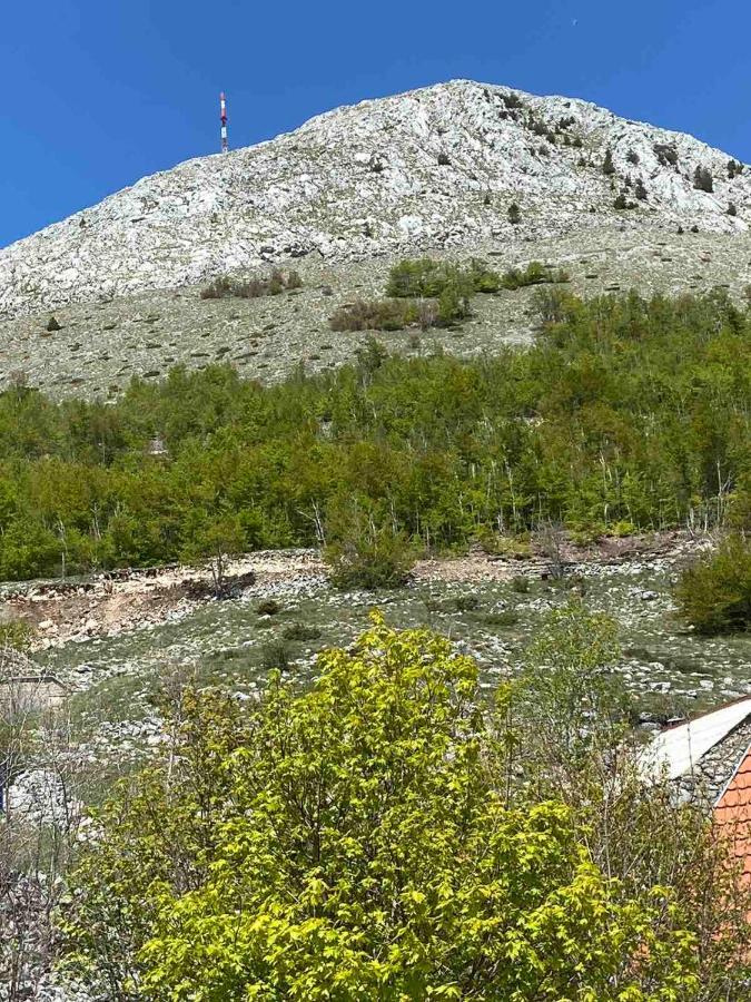 סטינג'ה Guest House Markovic Lovcen מראה חיצוני תמונה